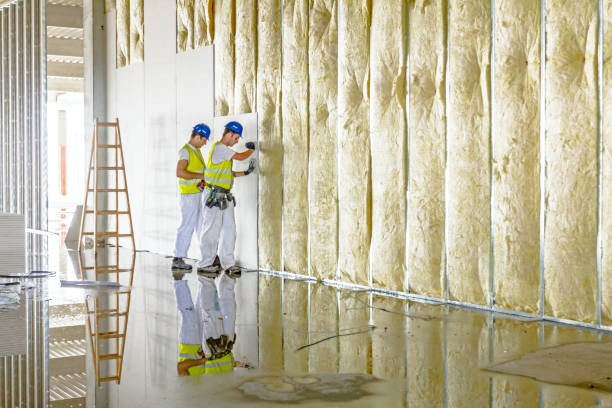 Best Spray Foam Insulation  in Santa Clara, NM